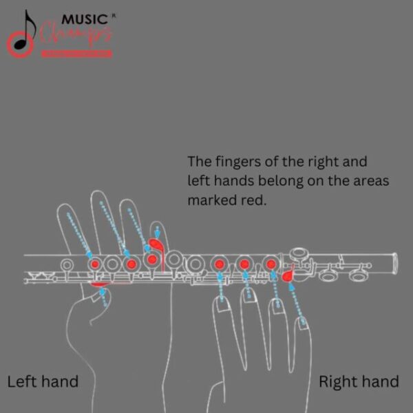 How to Hold a Flute Easily A beginner’s Guide Music Champs(00)